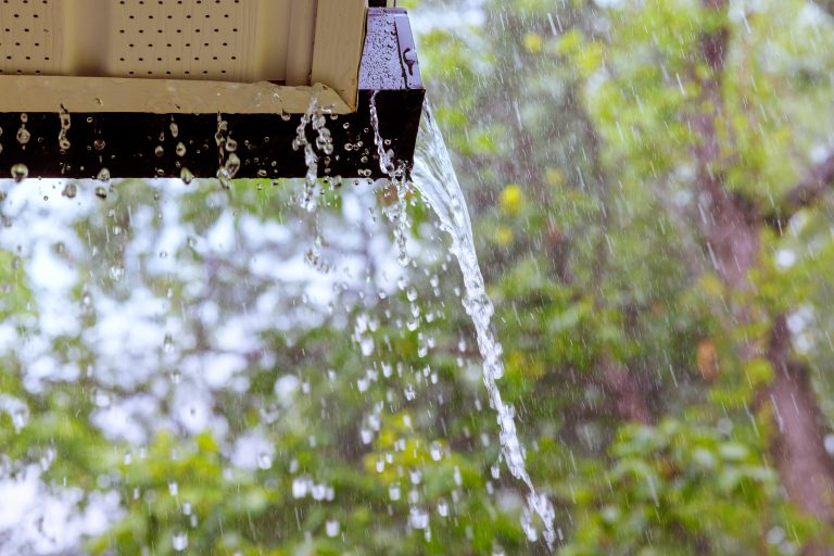 Clogged gutters causing water damage in Plainfield, IL